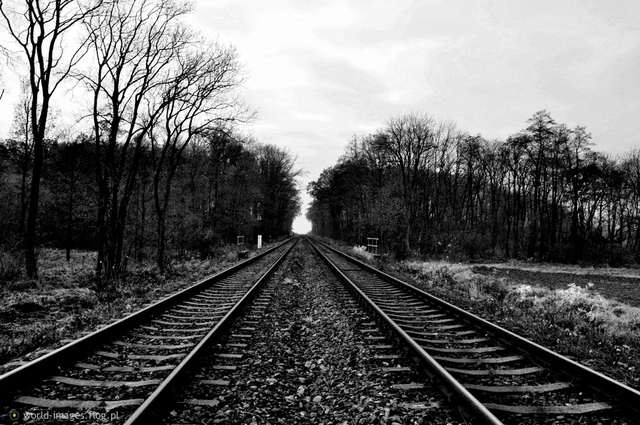 tren-1